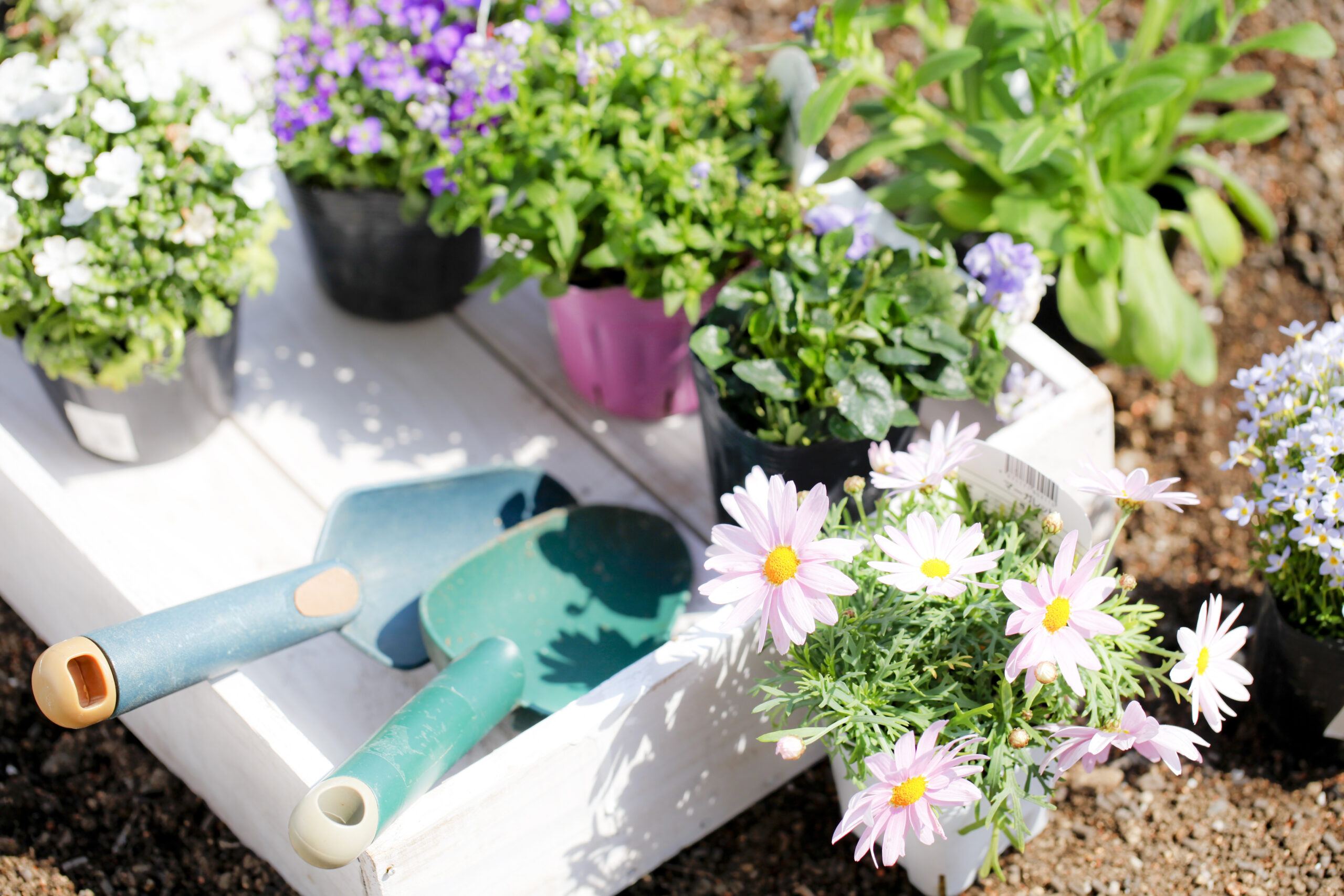 Gardening