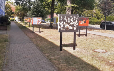 Outdoorausstellung Bad Saarow und Strausberg I ab Juni