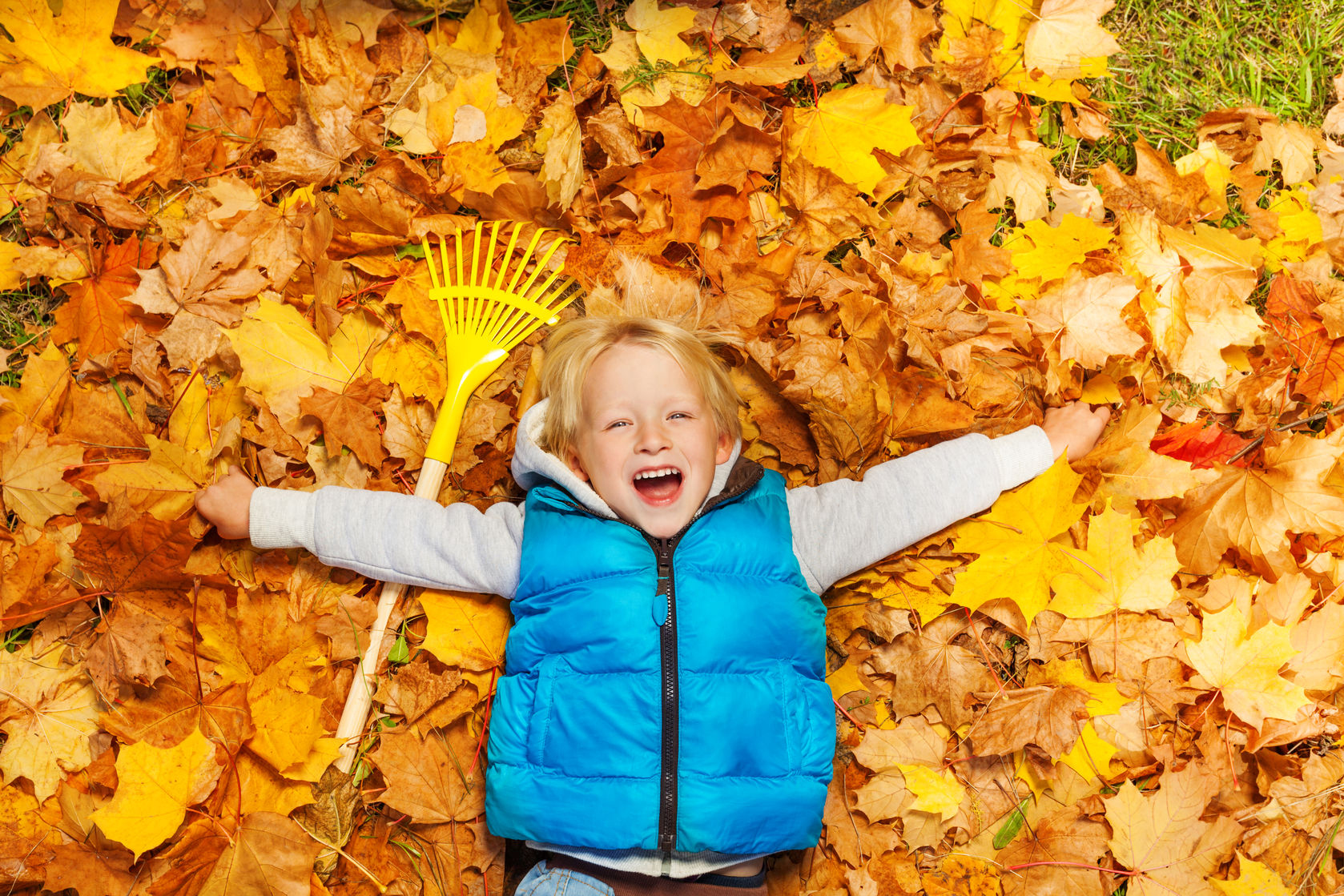33927663 - laughing boy laying on the autumn leaves with rake