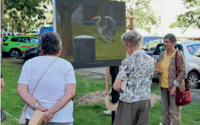 So waren Mieterfahrt und Ausstellungen